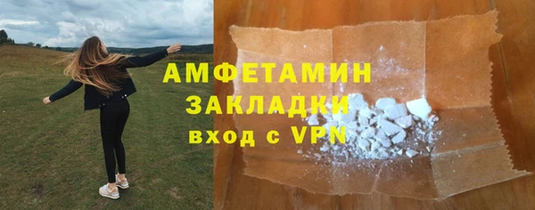 шишки Каменка