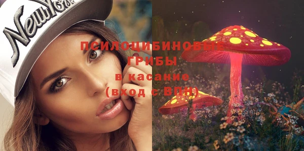 а пвп мука Абаза