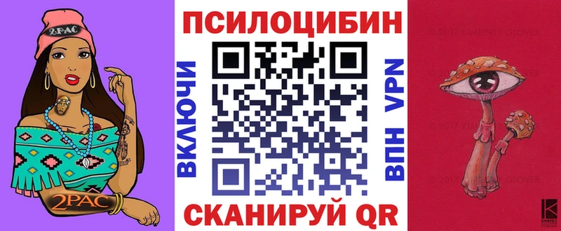 Галлюциногенные грибы Psilocybe продажа наркотиков Фролово